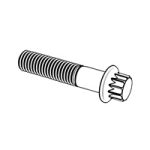 Metric 12-Spline Flange Screws — ASME 12 Point Bolts, Indasco product B-11-0007