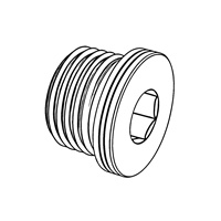 Internal Hex Port Plug — ISO Plugs, Indasco product S-07-0012